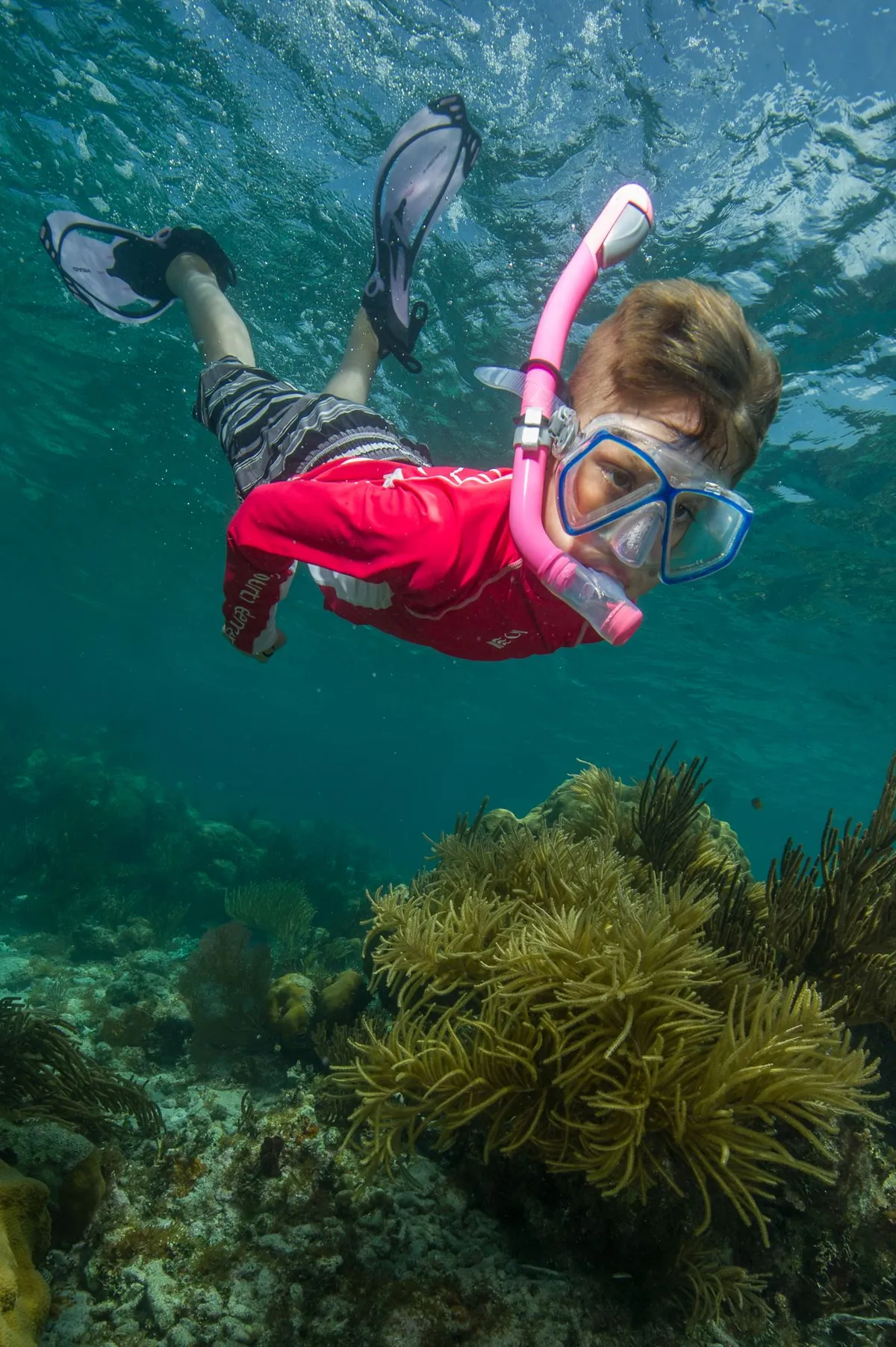 First-time snorkelers practising with mask and fins beside a dive boat on a Sundiver beginner snorkeling tour in Key Largo